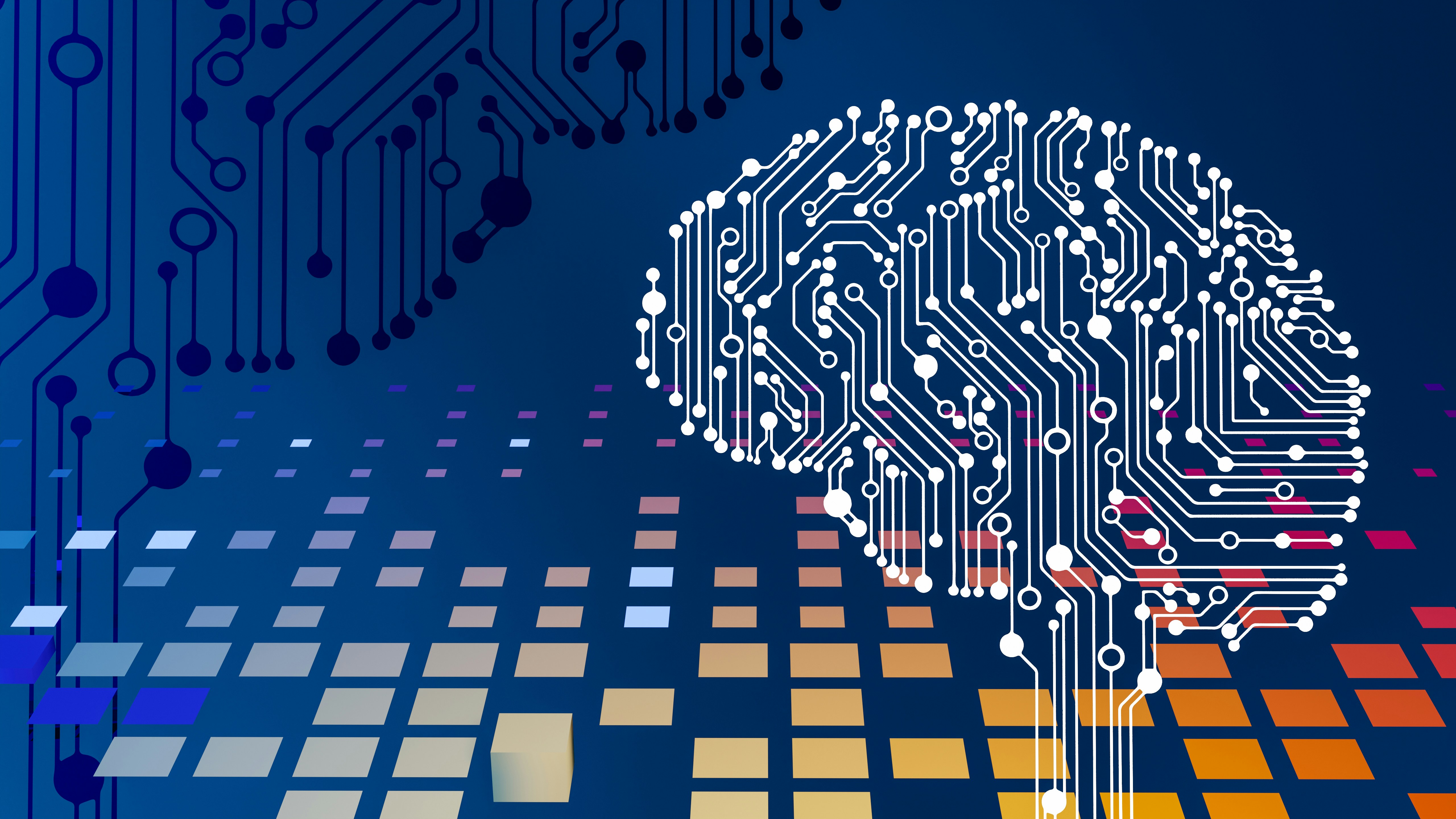 Digital Diagram of Brain