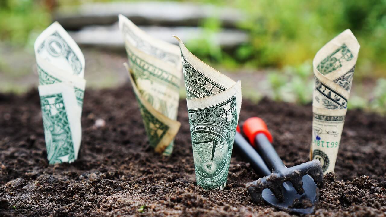 Money Planted in Dirt