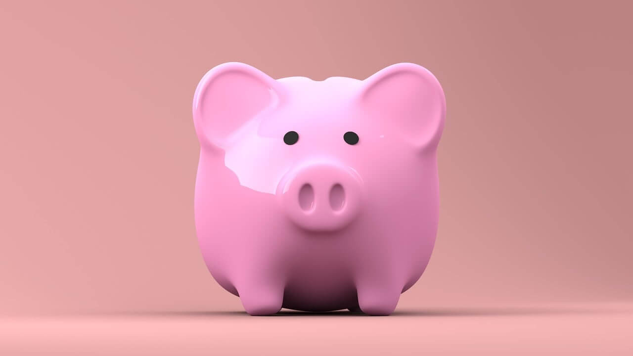 Pink Piggy Bank